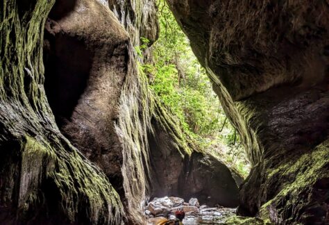 Exploración Barranco San Cristobal Exploración Barranco San Cristobal