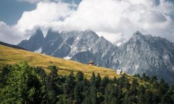 5NjDVZ7L28zTaoDQGJRwn5_small