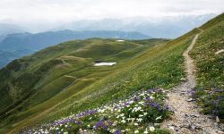 CJzwEYTUx7V9yrpQjj85q4_small