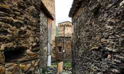 EdtLonj6Gqpm5XJ5LFZNxq_small