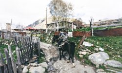 cLcaWAwm43gBQrE4QPXzRx_small